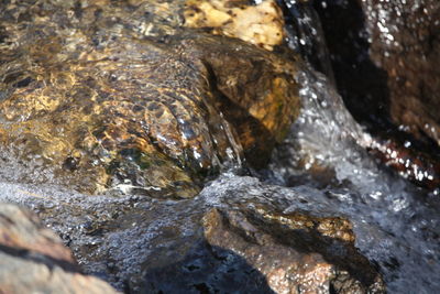 Close-up of water flowing through rocks