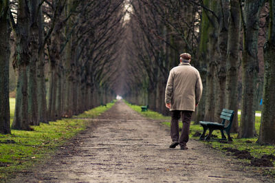 Rear view of man walking on footpath amidst trees