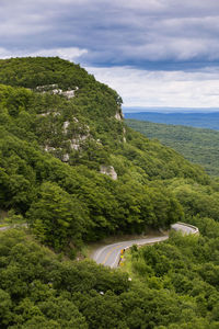 High angle view of trees by sea against sky