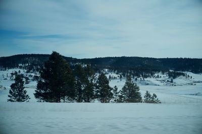 Scenic view of landscape against sky during winter