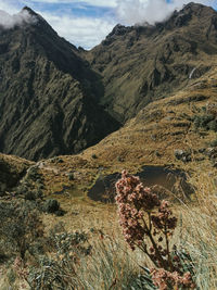 Scenic view of mountains