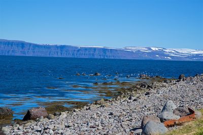 Scenic view of sea against clear blue sky