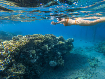 Woman snorkeling in sea