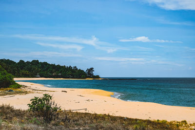 Scenic view of beach against sky