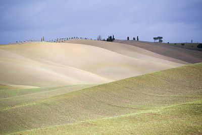 Scenic view of agricultural field against sky