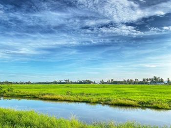 Scenic view of agricultural field against sky