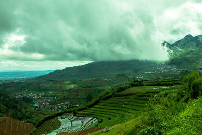 Scenic view of agricultural field against sky