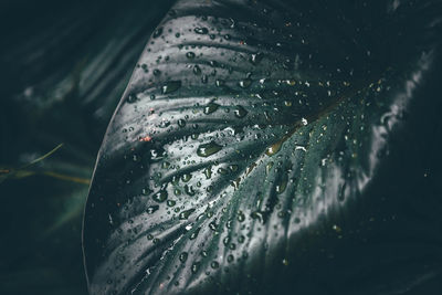 Close-up of raindrops on glass