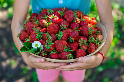 Midsection of girl holding strawberries in container