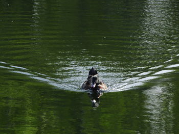 Full length of woman in water