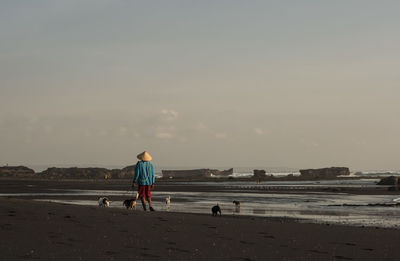 Rear view of man with dogs walking at beach against sky