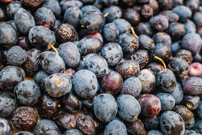 Full frame shot of blueberries