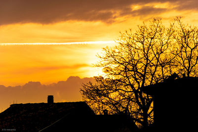 Low angle view of silhouette tree and buildings against sky during sunset