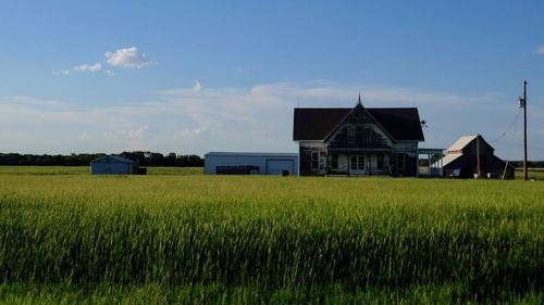 Scenic view of agricultural field by houses against sky