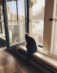 Cat sitting on window sill