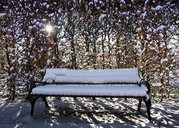 Snow covered bench by tree on field during winter