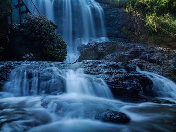 Scenic view of waterfall in forest