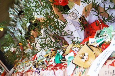 Close-up of christmas tree