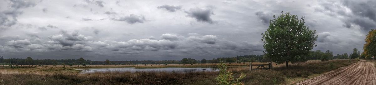 Panoramic view of field against sky