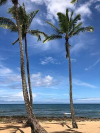 Palm tree by sea against sky