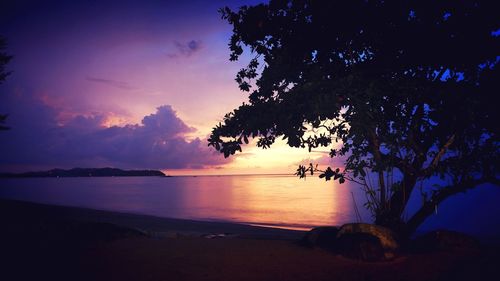 Silhouette tree by sea against sky during sunset