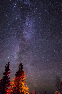 Low angle view of starry sky