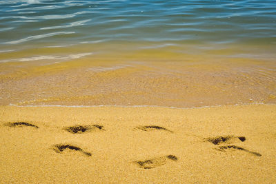 High angle view of footprints on beach