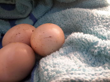 Close-up of eggs