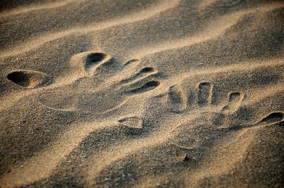 High angle view of footprints on sand