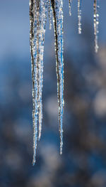 Close-up of frozen water