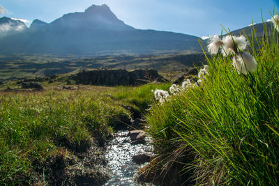 Scenic view of land and mountains against sky