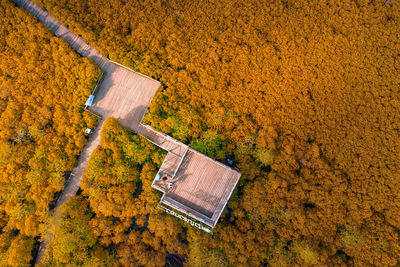 High angle view of umbrella on field during autumn