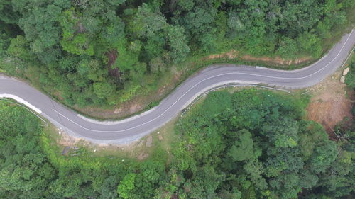 High angle view of road amidst trees