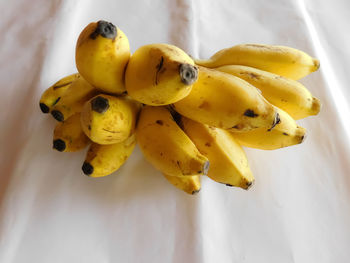 High angle view of yellow fruits on plant