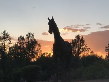 Silhouette of horse against sky during sunset