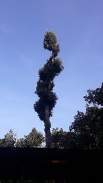 Low angle view of trees against clear blue sky