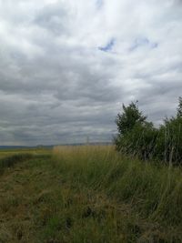 Scenic view of field against sky