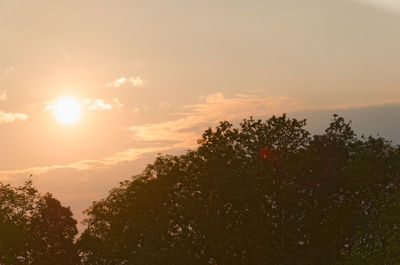 Scenic view of silhouette trees against sky during sunset