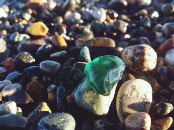 Close-up of stones on rocks