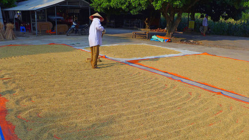 Full length of farmer drying rice