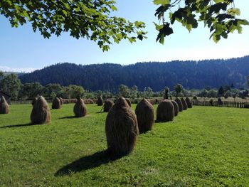 Hay bales on field against sky