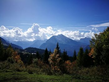 Scenic view of forest against sky