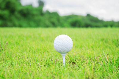 Close-up of ball on grass