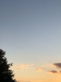 Low angle view of silhouette trees against sky at sunset