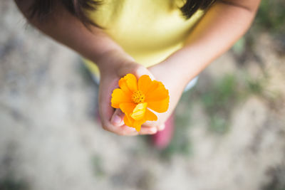 Low section of woman holding orange flower