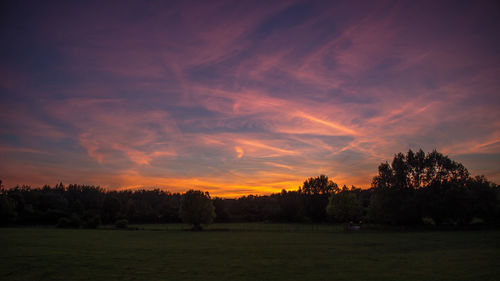 Silhouette trees on field against sky at sunset