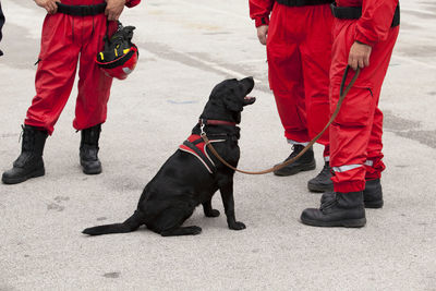 Low section of man with dog