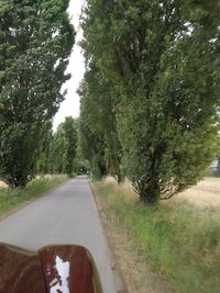 View of country road along trees