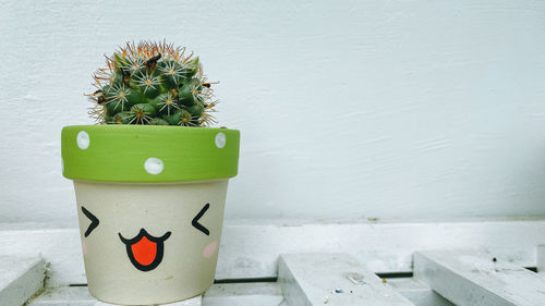 Close-up of succulent plant against wall