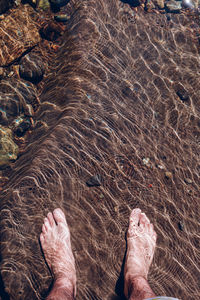 Low section of man standing on beach